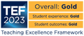 2023 Teaching Excellence Framework assessment logo